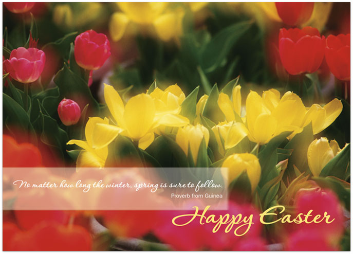 Easter Tulips Greeting Card 168D-Y
