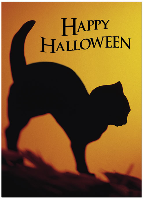 Black Cat Halloween Card 171D-Y