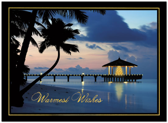 Tropical Wishes Holiday Card  Travel Holiday Cards 