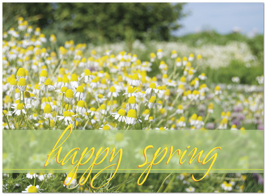 Floral Meadows Spring Card D4068U-Y