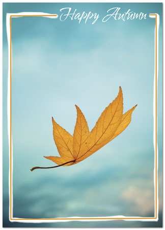 Floating Leaf Autumn Card D4080D-Y