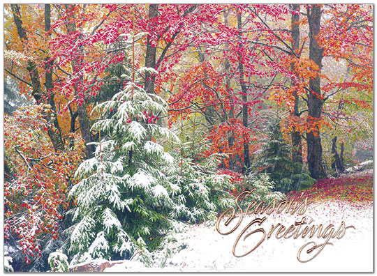Changing Seasons Holiday Card H7157U-AA