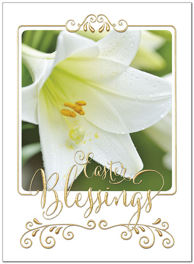 easter lily card bulk religious easter cards posty cards