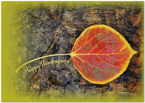 Simple Leaf Thanksgiving Card H8102KW-AA