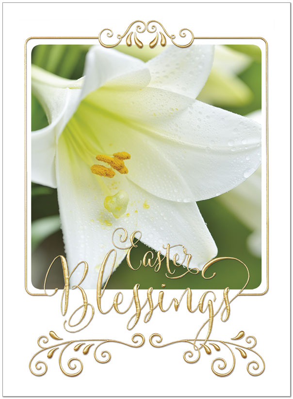 Easter Lily Card A8062U-X