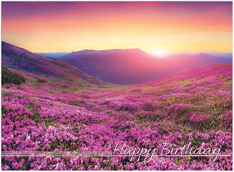 Lavender Fields Birthday Card A9012U-X