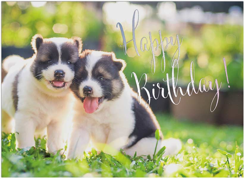 Puppy Love Birthday Card A9015U-X