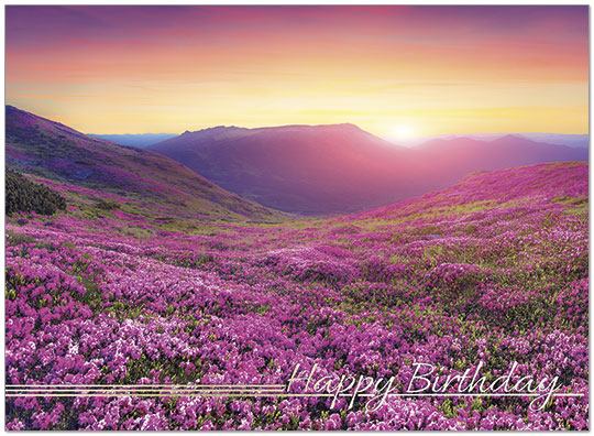 Lavender Fields Birthday Card Scenic, Landscape Birthday Cards
