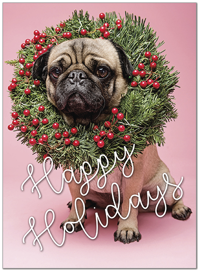 Holiday Pug Greeting Card | Bulk Puppy Holiday Cards | Posty Cards