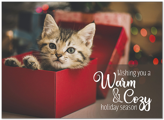 Cozy Kitten Holiday Card D9198U-A