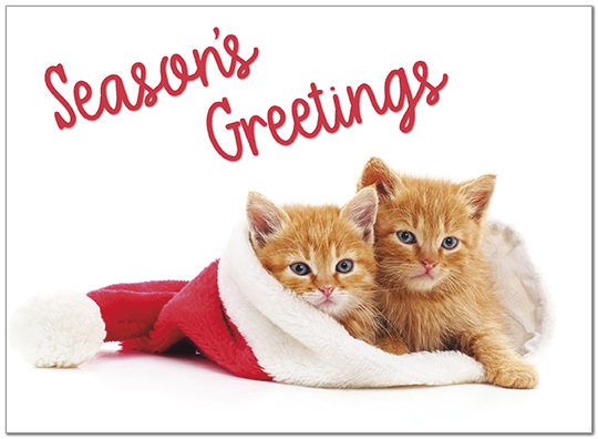 Season's Kittens Holiday Card D9199U-A