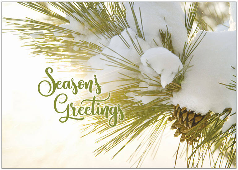 Seasonal Pine Holiday Card H9169KW-AA