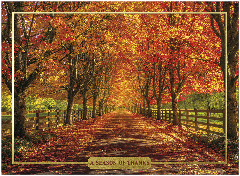 Memory Lane Thanksgiving Card H9083G-AAA