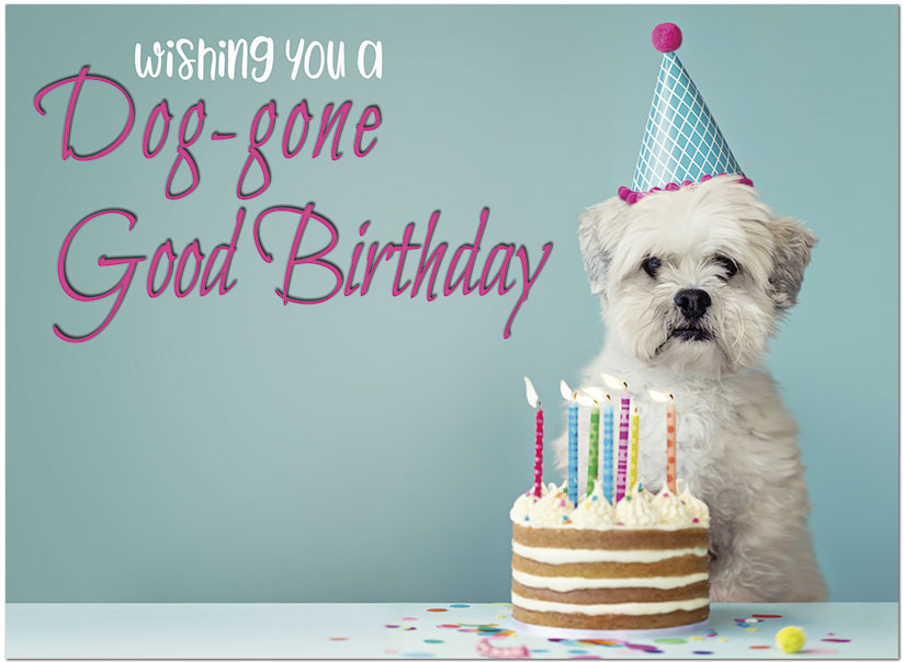 Dog-gone Birthday Card | Animal Birthday Cards | Posty Cards