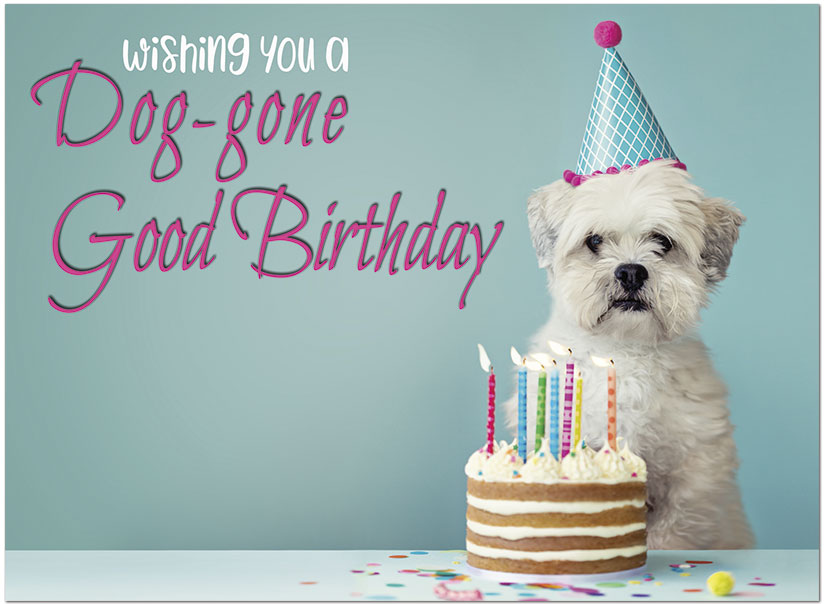 funny birthday wishes dog