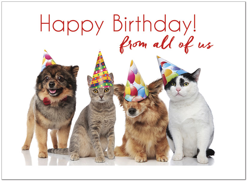 Party Hat Dog And Cat Personalised Birthday Greetings Card 