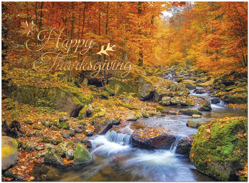 Autumn Brook Thanksgiving Card H1477U-AA