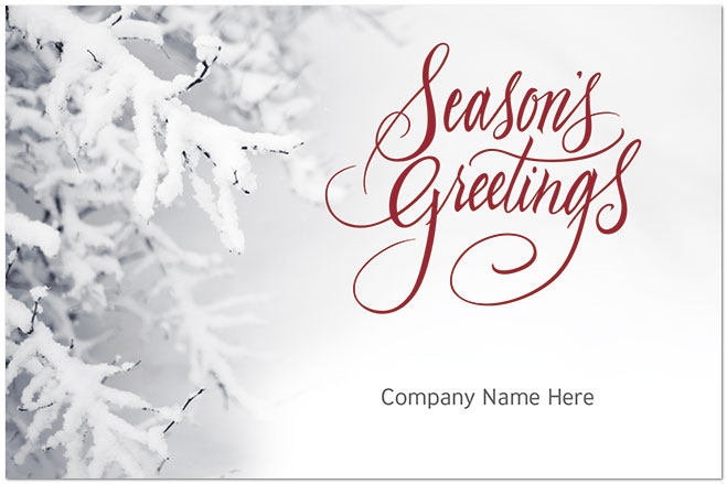 Covered Branches Logo Postcard D1773P-B