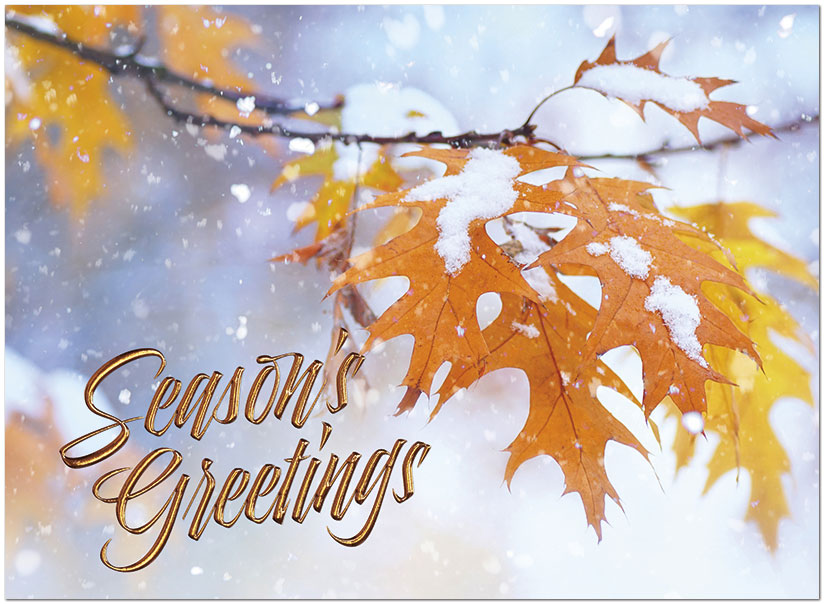 Autumn Magic Holiday Card H1680U-AA