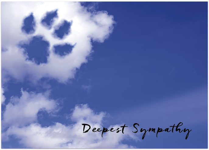 Pet Deepest Sympathy Card D2286D-Y