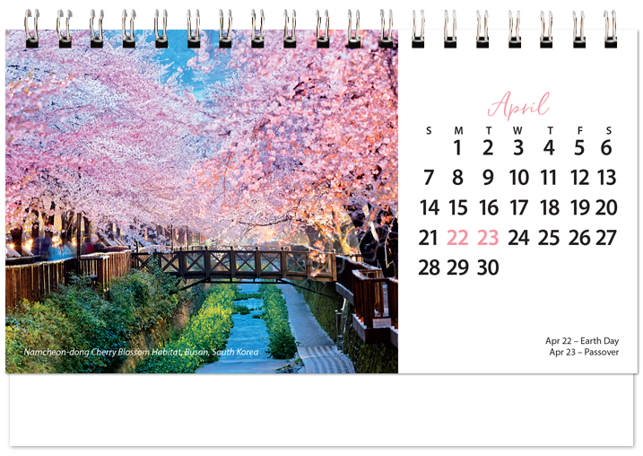 Scenic World Desk Calendar SW2024
