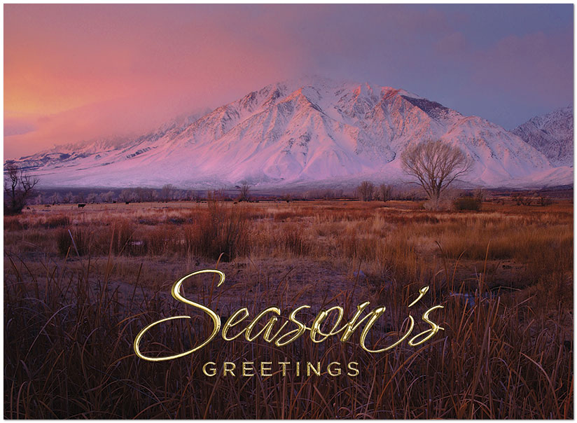 Season's Sunrise H2971G-AAA