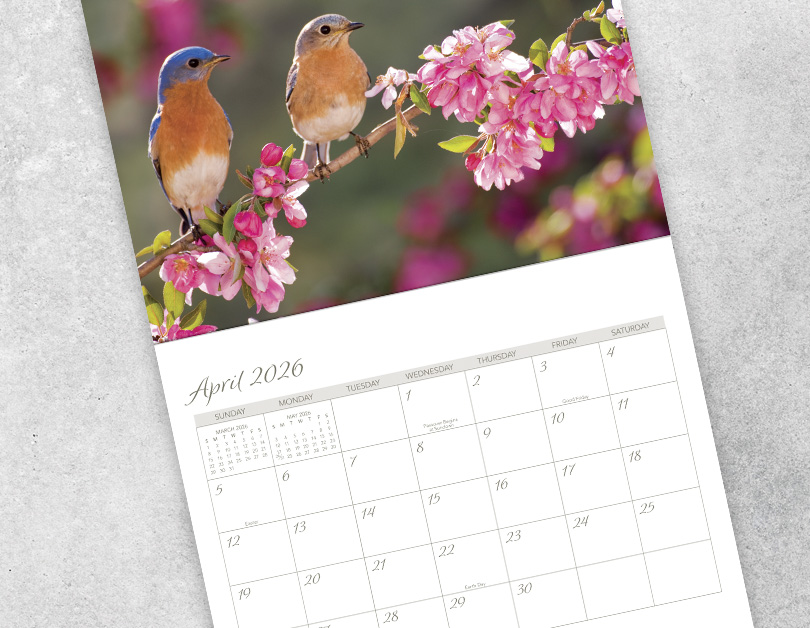 Scenic Seasons Wall Calendar DWP1126