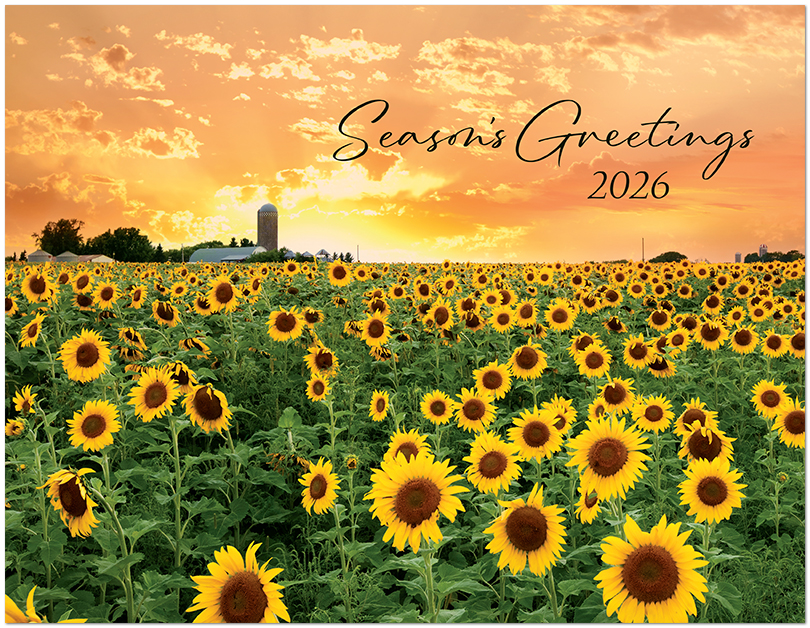 Scenic Seasons Wall Calendar DWP1126