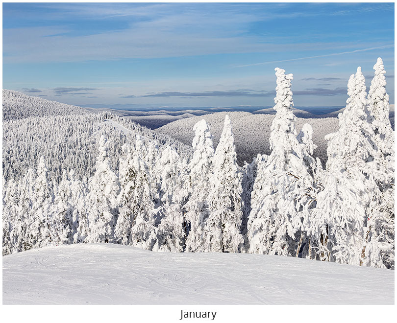 Scenic World Wall Calendar DWP1326