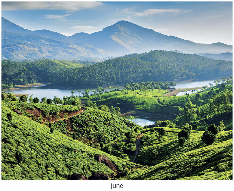 Scenic World Wall Calendar DWP1326