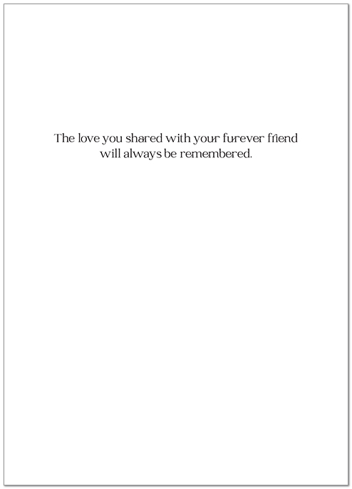 Never Leave D3437D-Y