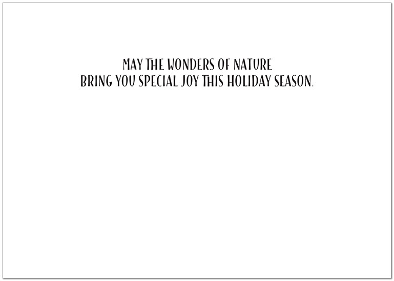 Merry Holidays Greeting Card H8205KW-AA