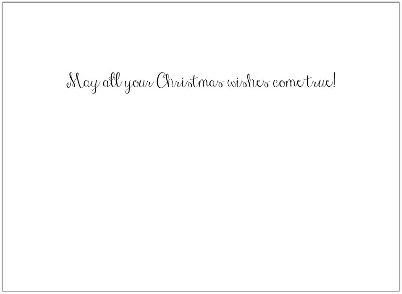 Money Stocking Holiday Card H8209U-AA