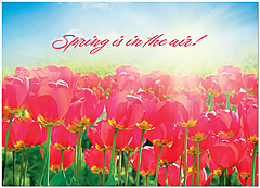 Spring is in the Air D3435D-Y