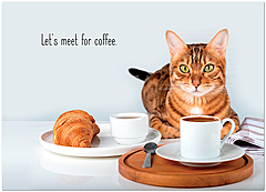 Cat Caffe Meme Card D3440D-V