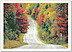 Open Road Note Card 551D-Y