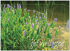 Get Well Greeting Card 854U-Y