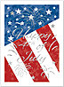 4th of July Holiday Card 846U-X