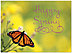 Spring Butterfly Card A2068U-Y