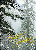 Frosted Evergreens Holiday Card H2177G-AAA