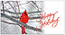 Holiday Cardinal Card D3188T-B