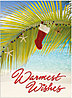 Beach Stocking Holiday Card H4230U-AA