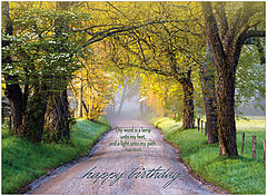 Birthday Path Card A4047U-Y