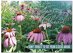 Spring Ahead Card D5093D-Y