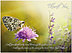 Butterfly Thank You Card A5068U-X