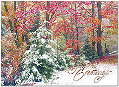 Changing Seasons Holiday Card H7157U-AA