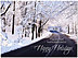 Winter Travels Holiday Card H7174U-AA