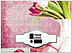Floral Die Cut Birthday Card A8028U-W