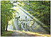 Thinking of You Path Card D8067U-Y