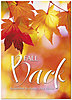 Fall Back Leaves Card D8076D-Y